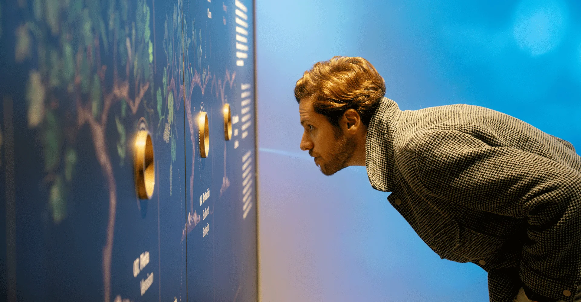 Um panorama imperdível em Santiago: A experiência sensorial da Concha y Toro em Pirque