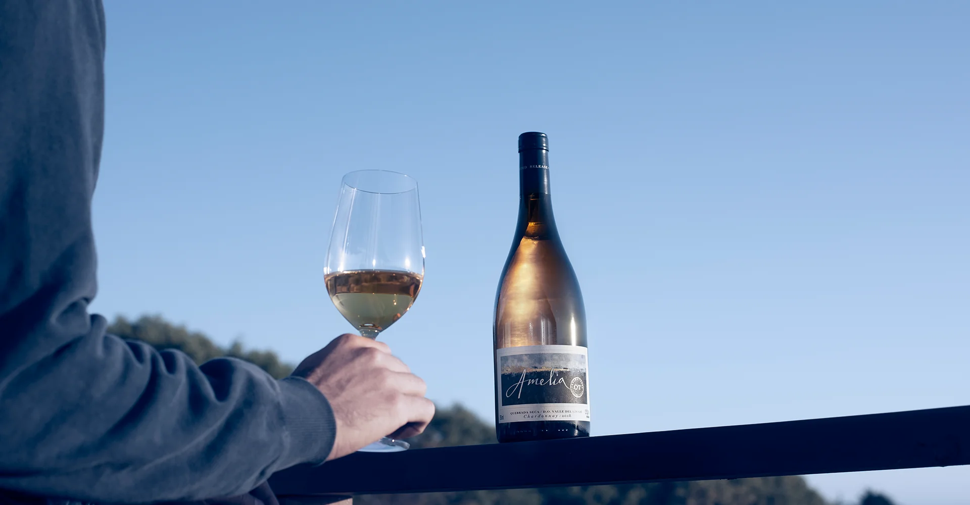 Matthew Horkey highlights Amelia Chardonnay as one of the “Best Wines of 2025”