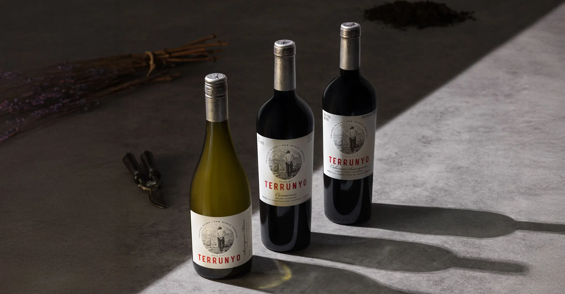 Tim Atkin MW Awards with outstanding scores to Viña Concha y Toro