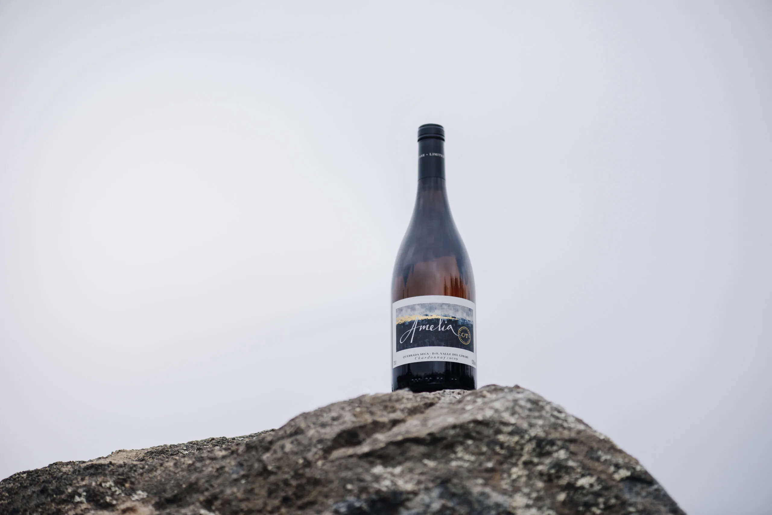 Amelia Chardonnay mantém sua liderança como o Melhor Chardonnay do Chile