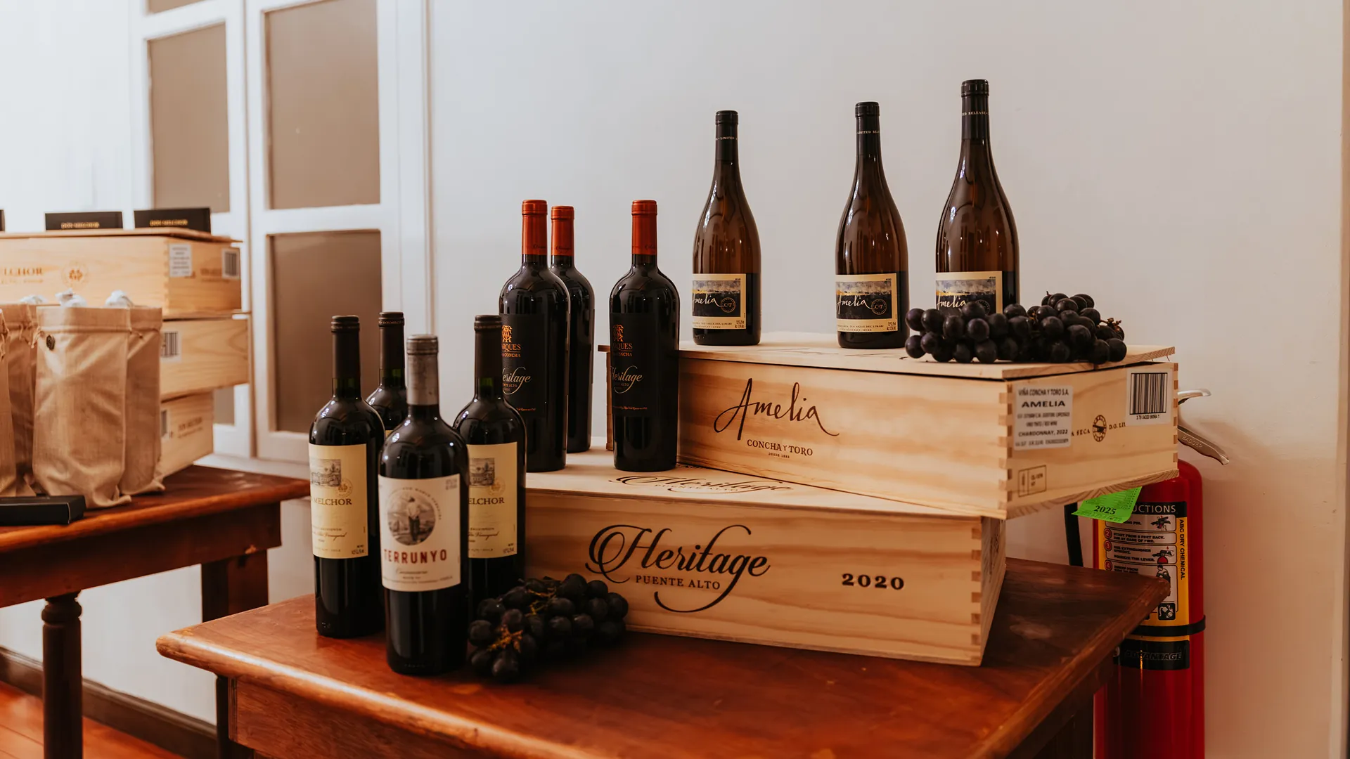 Viña Concha y Toro realiza degustação de sucesso de suas marcas de luxo em Aruba