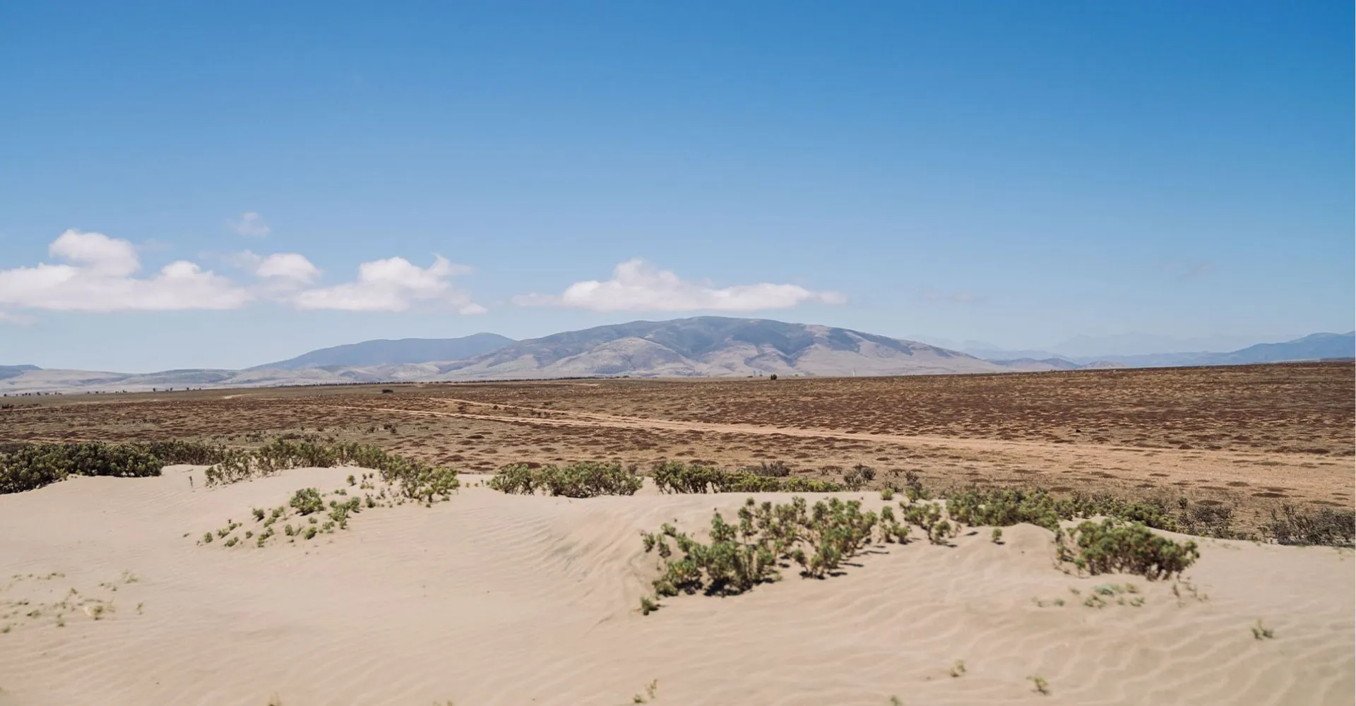 VIÑA CONCHA Y TORO LANÇA VIÑA AMELIA E ASSUME UM NOVO DESAFIO: POTENCIALIZAR UM VINHEDO DEDICADO EXCLUSIVAMENTE AO CHARDONNAY E PINOT NOIR