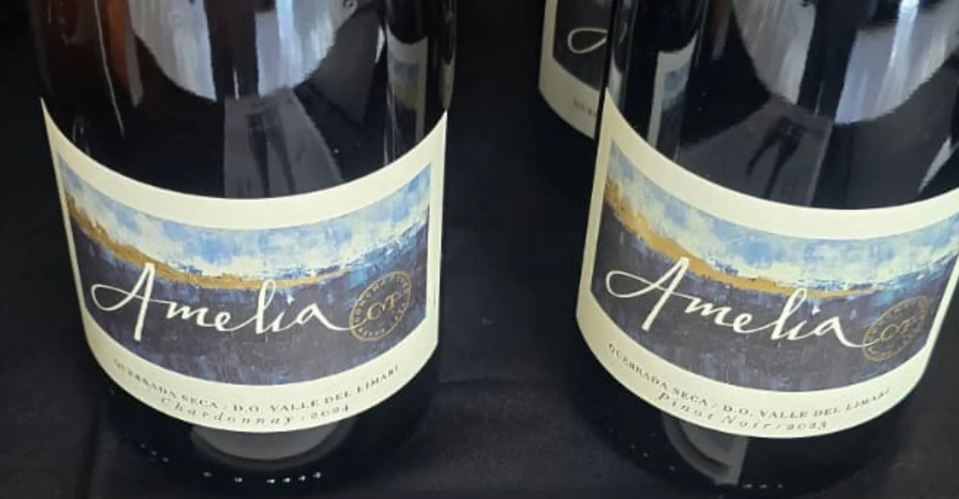Viña Amelia participa en Sip of South America Nueva York 2026