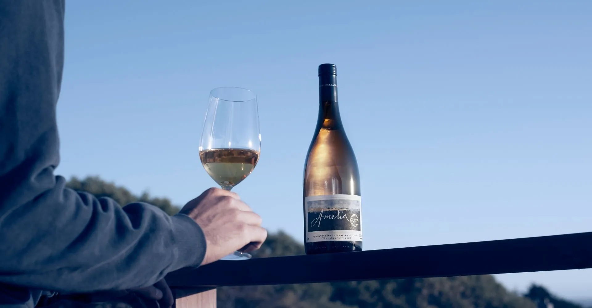 Amelia lidera cata a ciegas internacional y confirma su posición entre los grandes Chardonnay del mundo