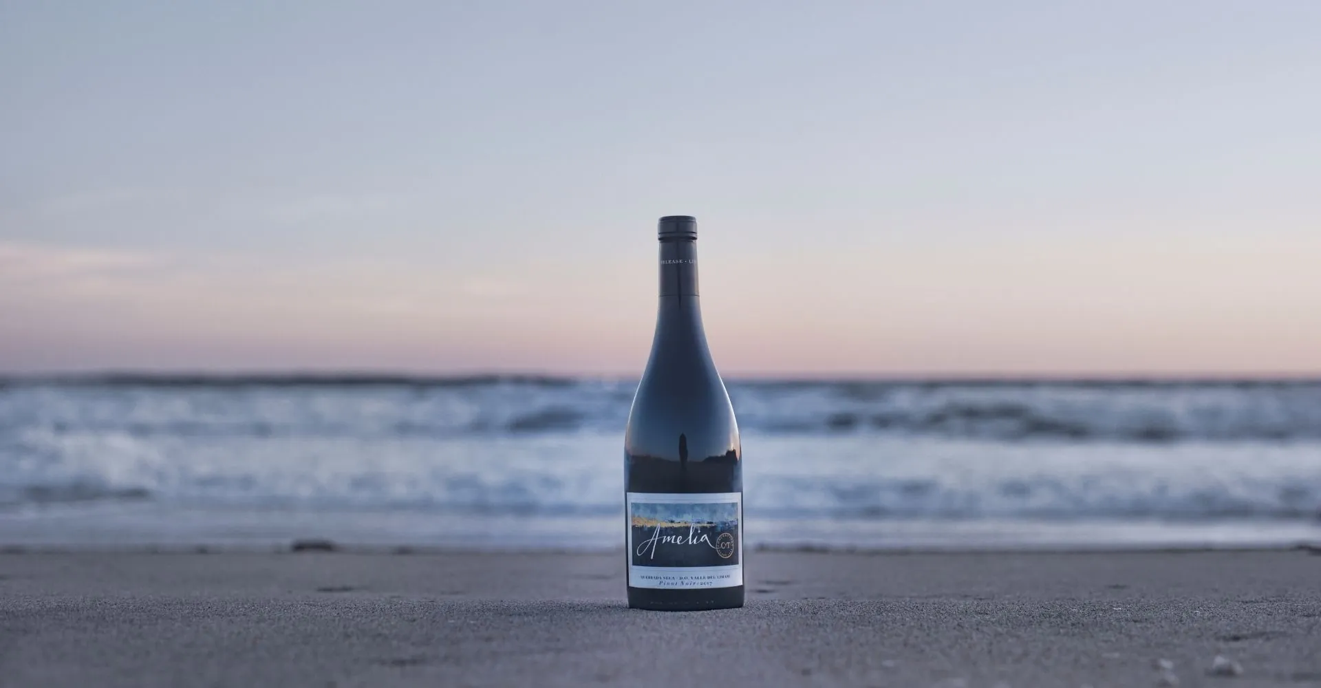 Viña Amelia Strengthens Its Positioning in Korea