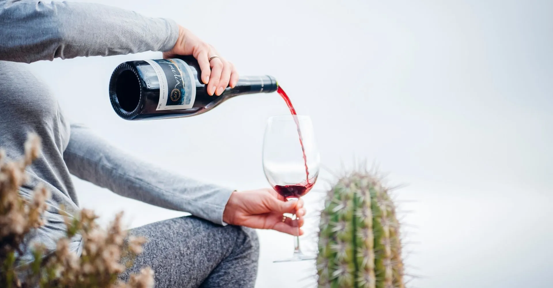 Amelia Pinot Noir 2024 receives outstanding recognition at DWWA 2026 6