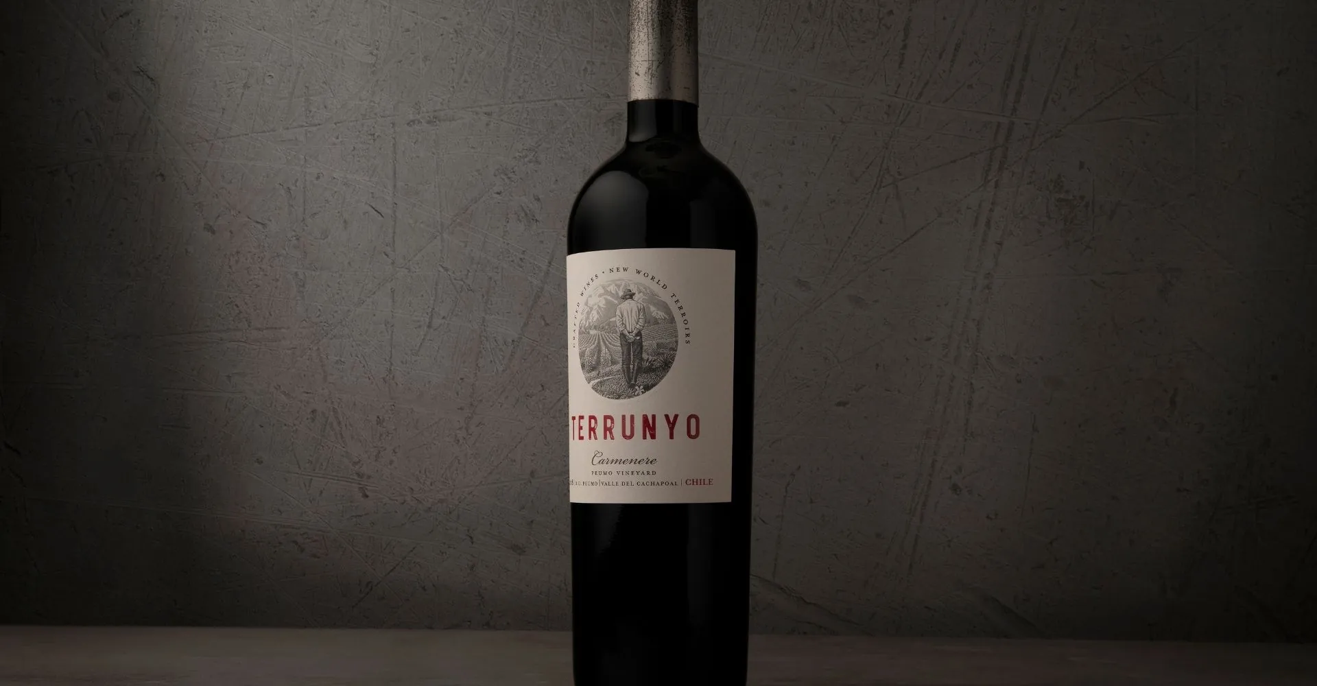 Terrunyo Carmenere 2024 stands out in leading international competition