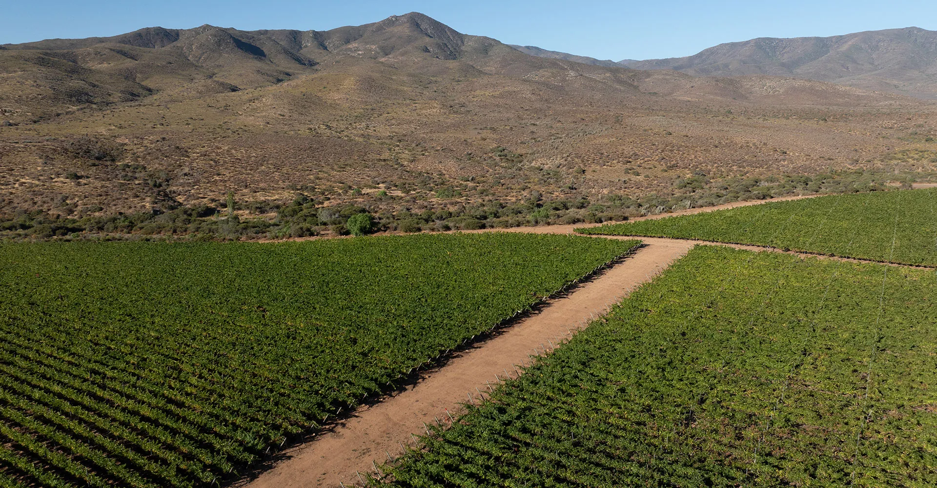 The elegance of a great Pinot Noir begins at its place of origin