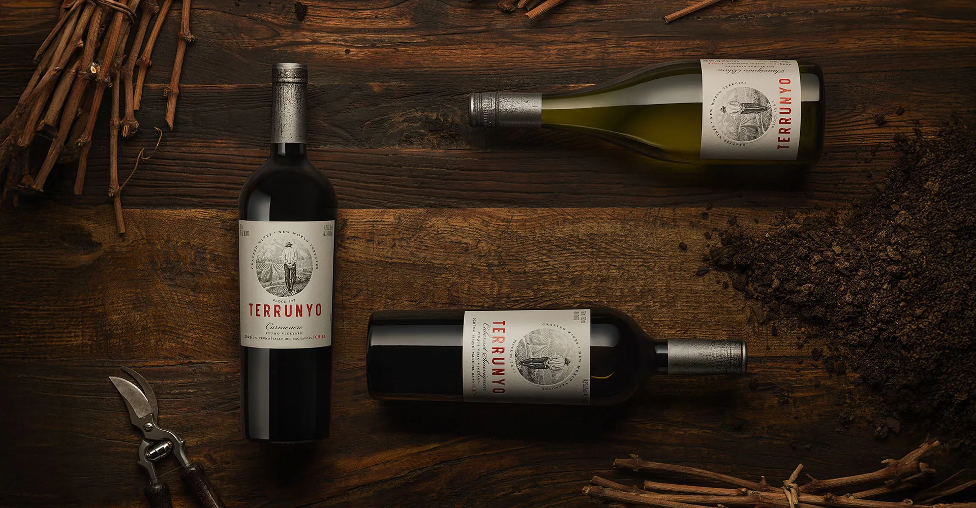 Terrunyo obtiene destacados puntajes en el Reporte de Chile 2026 de Vinous